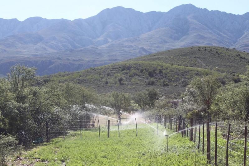 3 Bedroom Property for Sale in Oudtshoorn Rural Western Cape